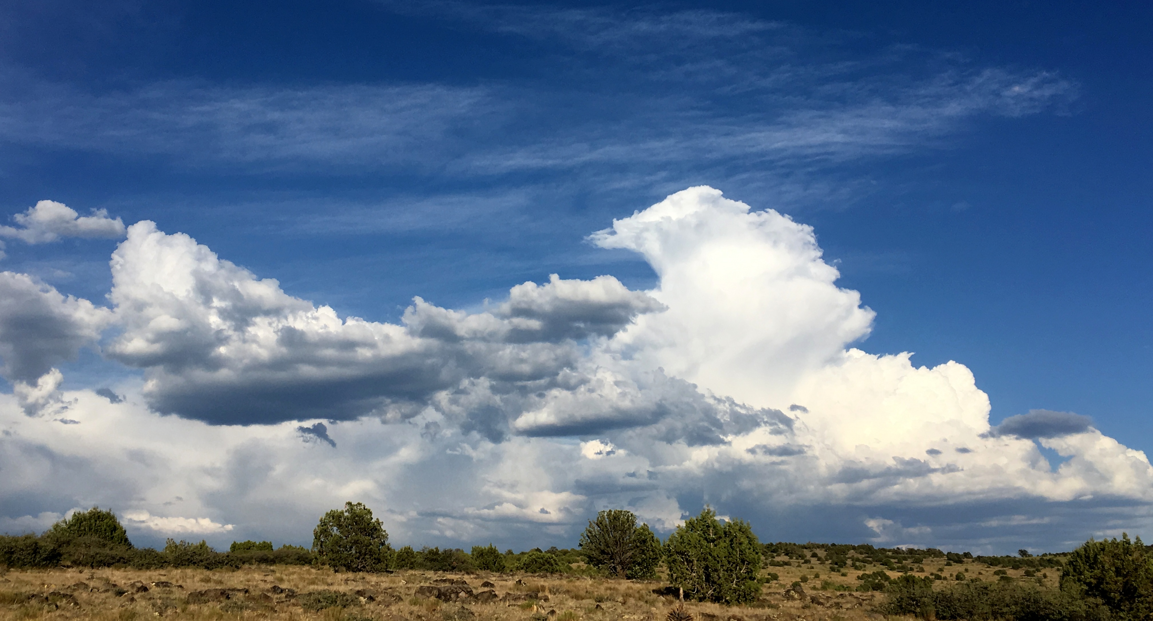 Towering Arizona monsoon clouds above a natural landscape near Camp Verde